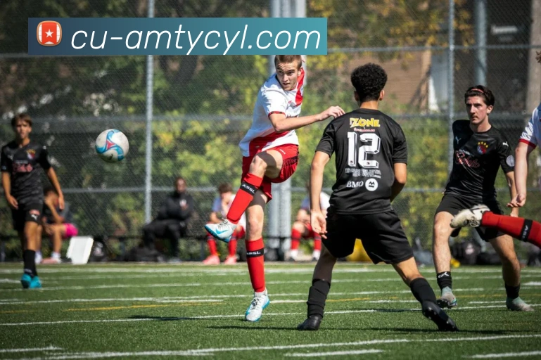 辅助工具 辅助工具